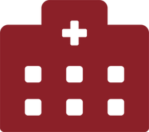 wellness consultation