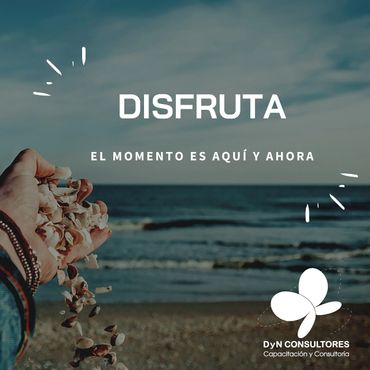 DyN Disfruta