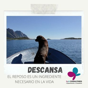 DyN Descansa