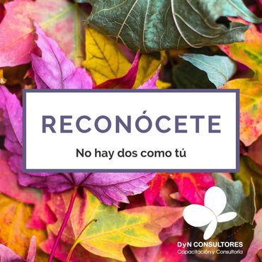 DyN Reconócete