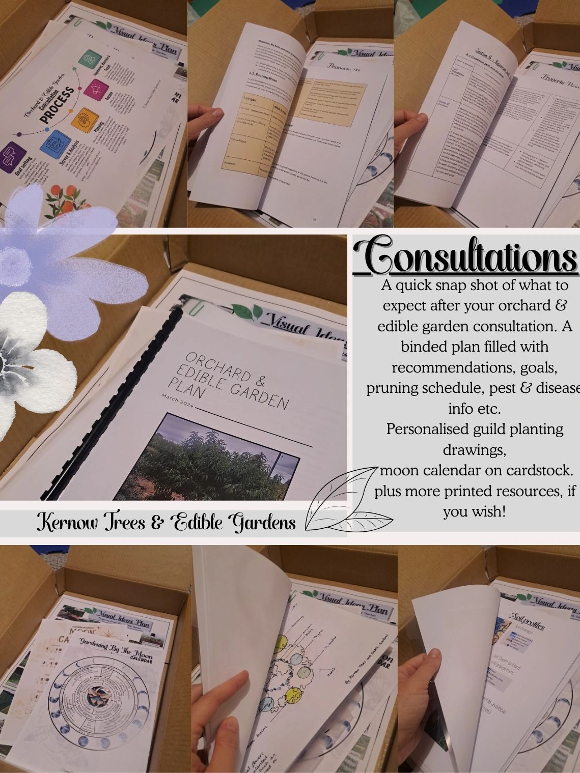 Edible garden consultation example
