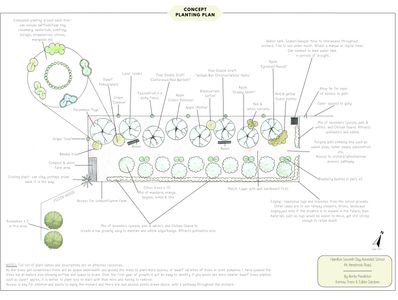 concept plan for orchard