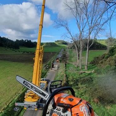 Stihl. Crane. Arborist