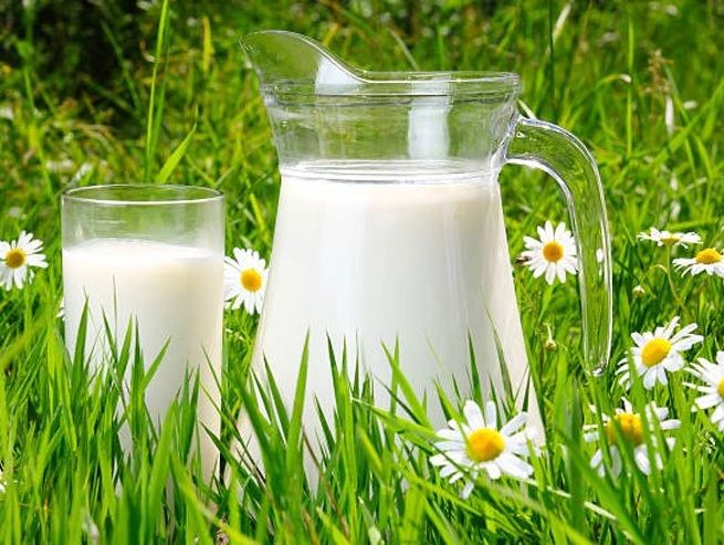 Find Local Raw Milk, Enzyme Rich, Fresh Milk