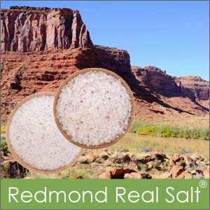 Redmonds Real Sea Salt, Natural Minerals, Anti caking agent free salt