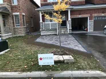 A small tree with yellow leaves in front of a house and a real estate sign.
