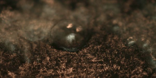 Finding the correct executive consulting firm can be a challenge in a dynamic geopolitical environment.