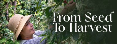 Woman in a straw hat tending plants with 'From Seed To Harvest' text.