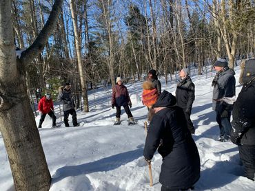 bain de forêt avec le groupe Climate coaching Alliance Québec, écocoaching pour le climat
