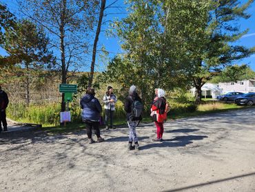 Shinrin yoku bain de forêt en Estrie