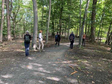 bain de forêt shinrin yoku à Longueuil