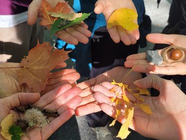 bain de forêt, shinirin yoku à Bolton-est en estrie