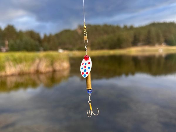Fishing lure hanging over a lake.