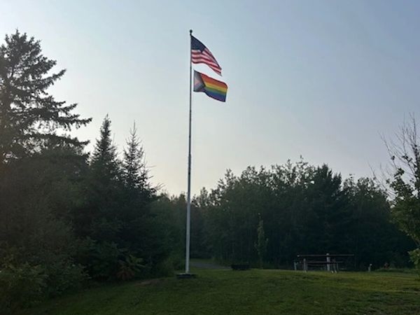 American and rainbow flags flying on a pole in a green park.