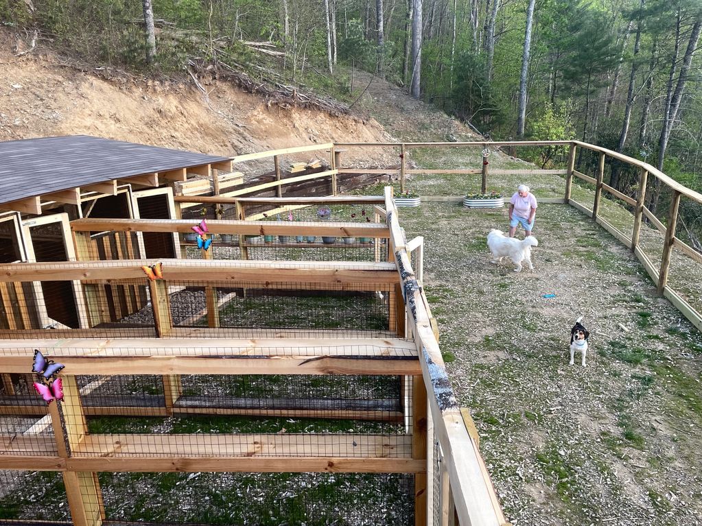 Woman playing with two dogs in a fenced outdoor area beside wooden kennels.