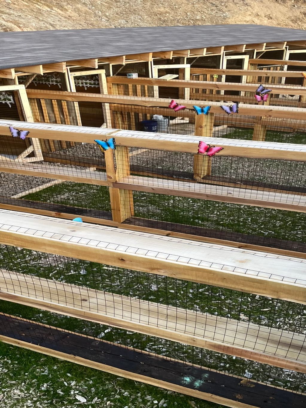 Wooden outdoor enclosures with mesh wire and colorful butterfly decorations.
