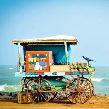 One time special trips & excursions in Crete and in Europe.