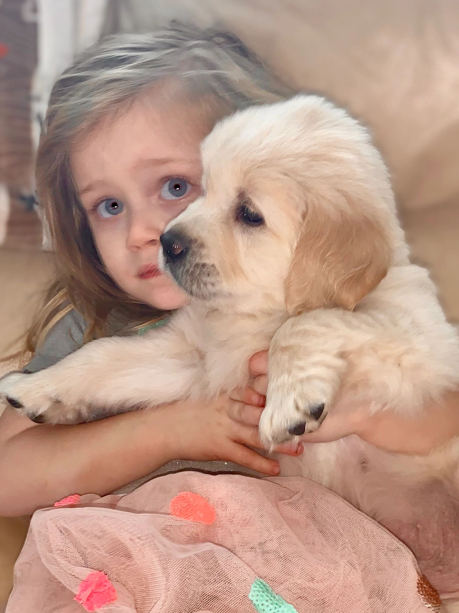 A young girl lovingly hugs a fluffy golden retriever puppy indoors.