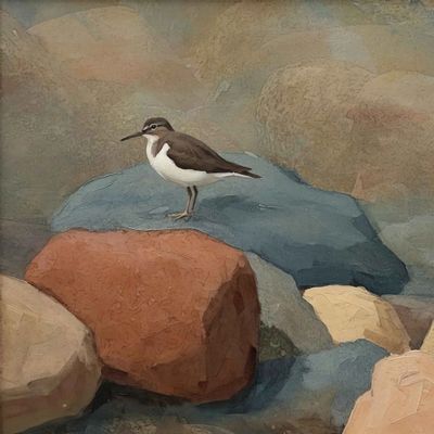 Common Sandpiper by MiE Fieklding