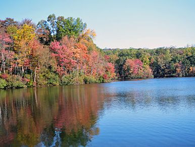 Hotels
hotels
hotel
hotel near me
airbnb near me
birdsboro pa hotels
dog friendly hotels