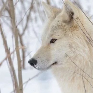 Hotels
hotels near me
hotel
hotels
airbnb
Airbnb
airbnb near me
dog friendly hotel
long term hotel