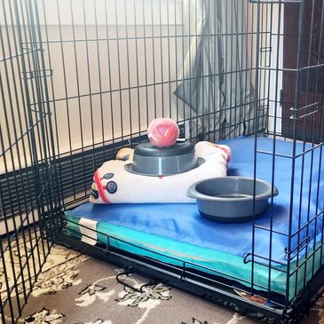 hotel
hotels
swan hotel
spa resort
sanctuary hotel
sanctuary of the swan
swan sanctuary
wellness