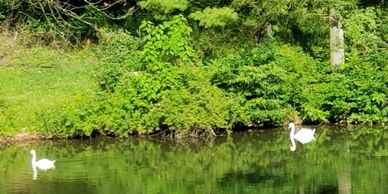 hotels
Hotels
hotel
dog friendly hotel
hotels near me
birdsboro pa hotels
extended sty hotels