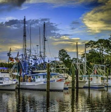 ocean springs, ms
harbor
boats
ride
charter