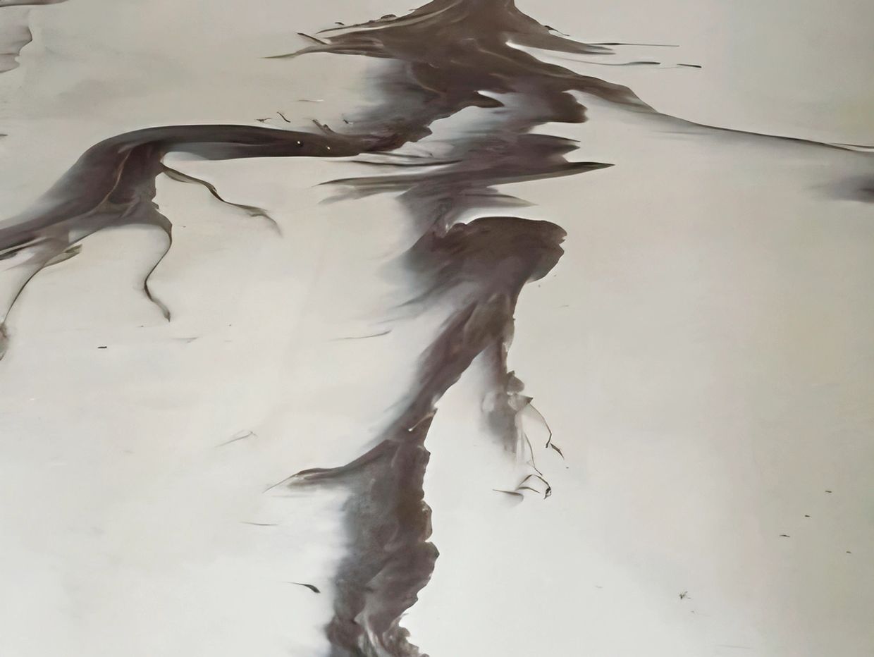 Metallic Epoxy garage floor with color viens