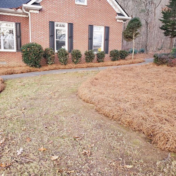 Pine straw application in garden beds: Enhancing soil health and aesthetics in rocky face