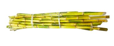 Sugarcane stick bundles