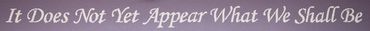 Inspirational phrase in elegant cursive font on a gray background.