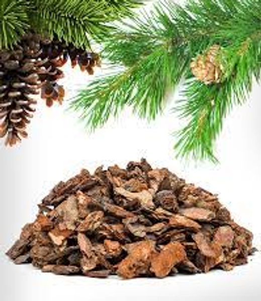 PINE BARK