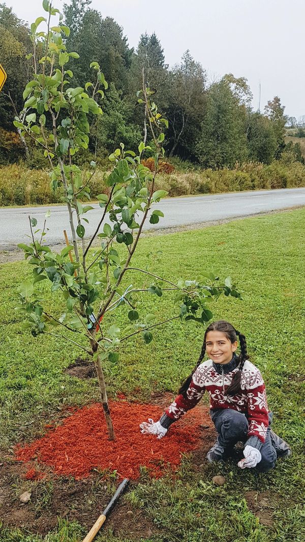 Planting fruit trees in the garden - Trees provided by ACAP and Trees Canada
