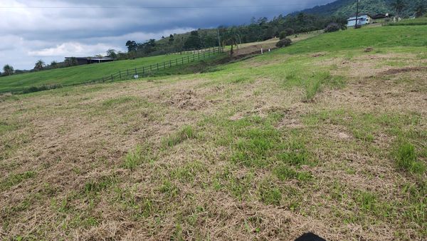 A grassy field with patches of dried grass.