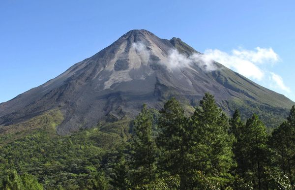 A smoking volcano towering over a lush green forest under a clear blue sky.