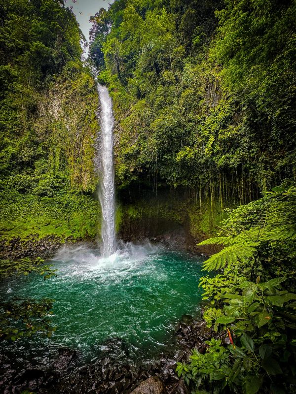 A tall waterfall plunges into a turquoise pool surrounded by lush green forest.