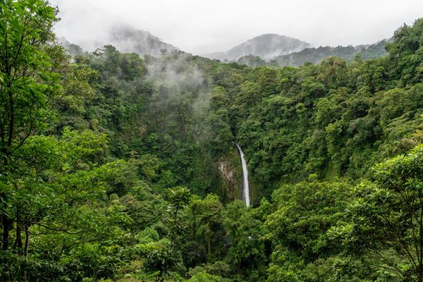 A waterfall cascades through a lush green forest with misty mountains in the background.