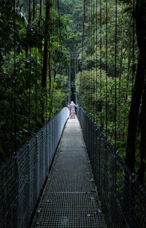 Two people stand on a narrow suspension bridge surrounded by dense green forest.