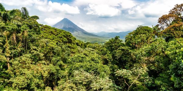Lush green rainforest with a distant mountain peak under a cloudy sky.