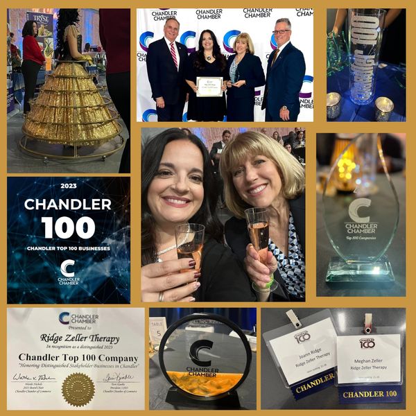Collage of photos Chandler Chamber Commerce award, woman in gold skirt, owners toasting, certificate
