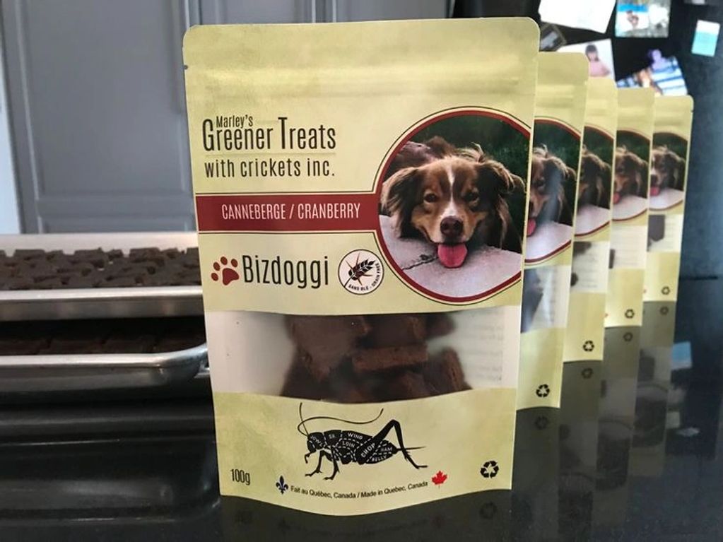 Cranberry flavour cricket protein dog treats