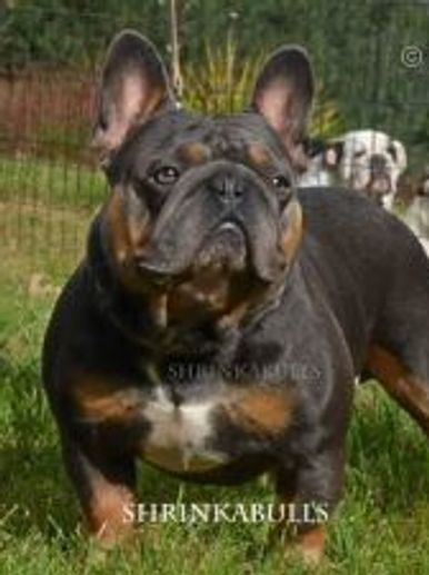 Once in a Blue Moon Iz Russko Skazki