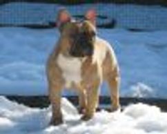 Portmain Guiding Star