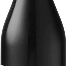 A sleek black bottle with a smooth, reflective surface.