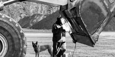 Person welding under large excavator bucket with dog nearby.