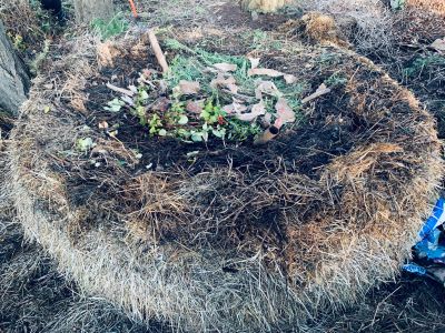 Garden bed surrounded by straw bales.