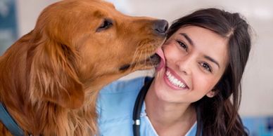 Homologacion de titulos en España Homologacion de titulo en Veterinaria
Trushi International Academy