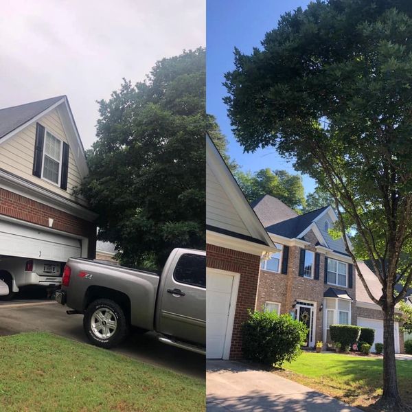 Before and after tree trimming