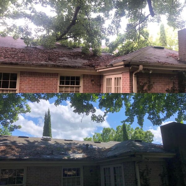 Tree branch removed from roof